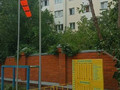 Флюгер для метеоплощадки АМФ-5.42